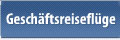 Geschäftsreiseflüge